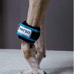 Attelle avec poids "V-BRACE"