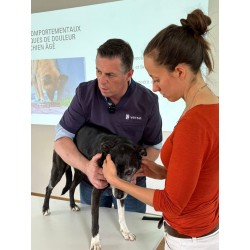 Formation : « Douleur et comportement : Apprenez à détecter et prévenir les troubles locomoteurs chez votre chien »