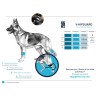 Attelle de stabilisation "V-HIPGUARD"