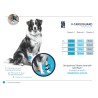 Attelle de Tarse " V-TARSOGUARD"