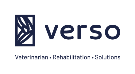 Verso